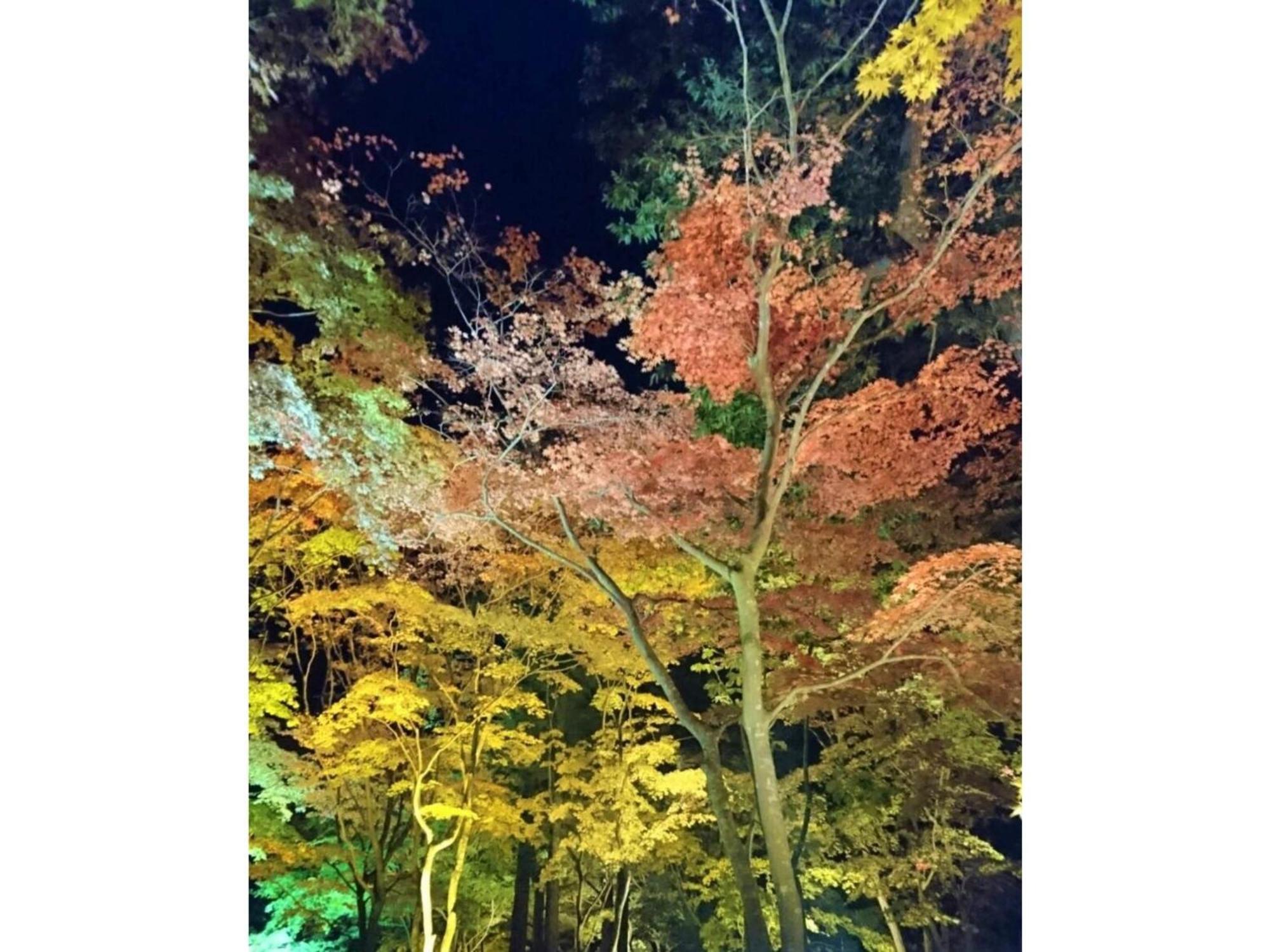 Hotel Tetora Yunokawaonsen - Vacation Stay 30623V Hakodate Buitenkant foto