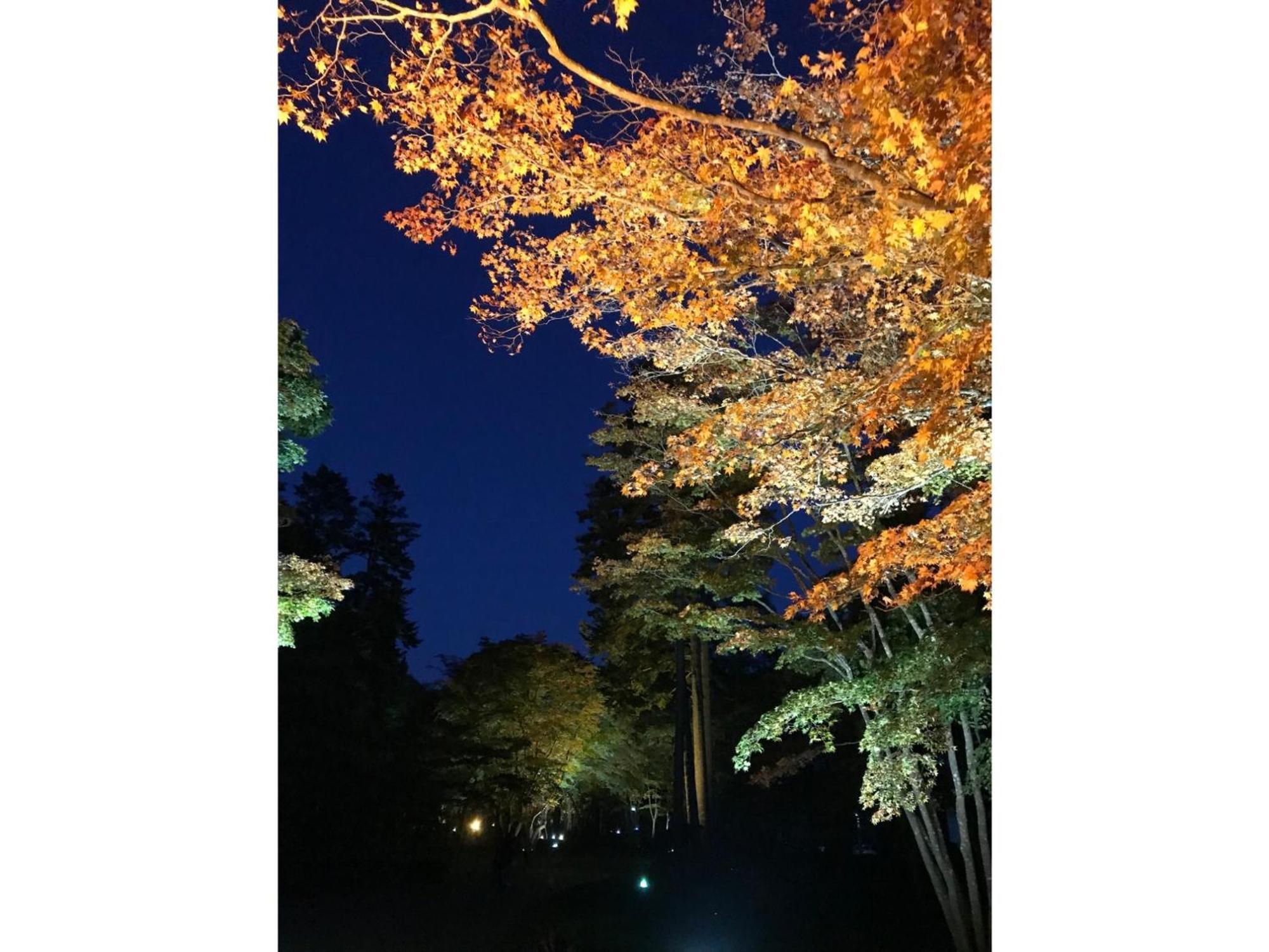 Hotel Tetora Yunokawaonsen - Vacation Stay 30623V Hakodate Buitenkant foto